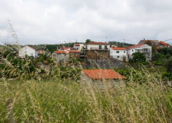 Pedrógão Grande: três anos depois da tragédia ordenamento florestal é inexistente