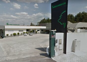 Empresa de suinicultura de Leiria alvo de buscas por suspeita de vários crimes