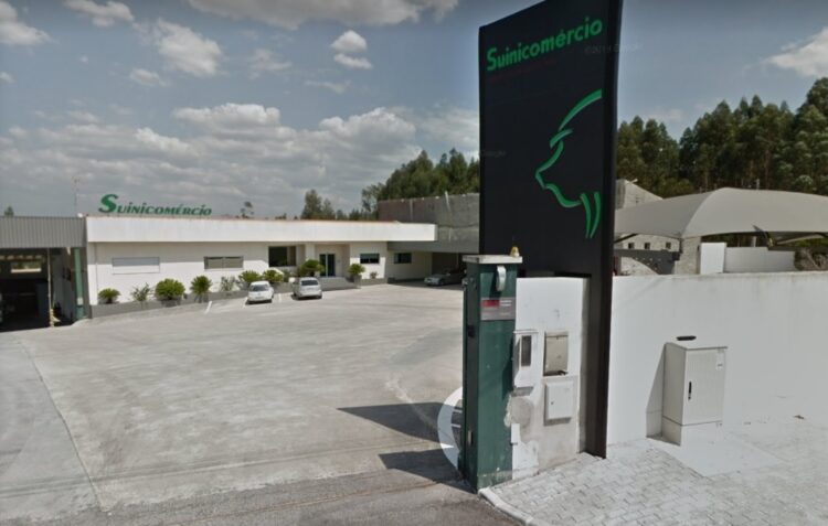 Empresa de suinicultura de Leiria alvo de buscas por suspeita de vários crimes