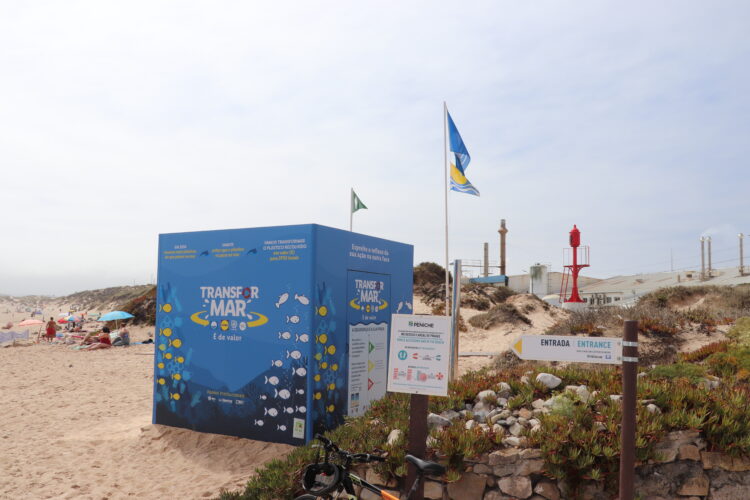 Boa conduta ambiental na Praia da Gamboa ajuda IPSS de Peniche