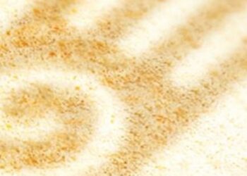 Câmara de Pombal colabora com Alzheimer Portugal para criar ‘Café Memória’ 