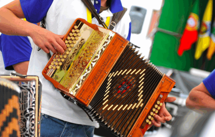 Encontro Nacional de Tocadores de Concertina da Barrenta acontece no mundo virtual