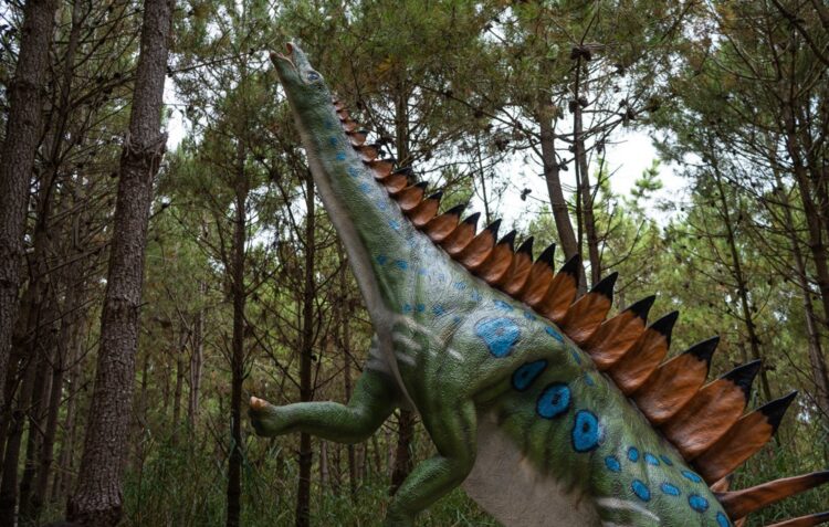 Dino Parque da Lourinhã anuncia chegada de modelo de dinossauro “único no mundo”