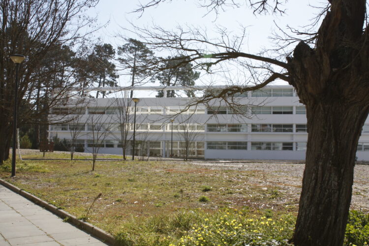 Estudantes da Escola Superior de Artes e Design das Caldas da Rainha vencem Poliempreende regional