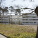 Estudantes da Escola Superior de Artes e Design das Caldas da Rainha vencem Poliempreende regional