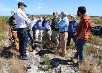 Pinhal do Rei foi motivo da visita à Marinha Grande do Observatório Técnico Independente da Assembleia da República