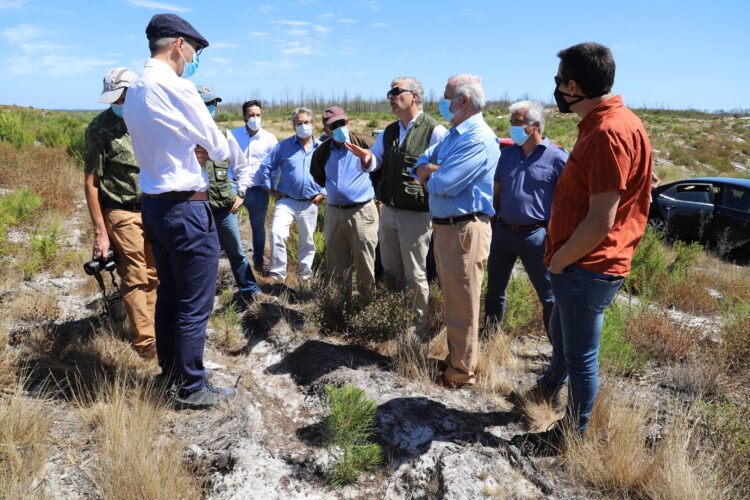 Pinhal do Rei foi motivo da visita à Marinha Grande do Observatório Técnico Independente da Assembleia da República