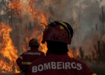 Oito concelhos da região em risco máximo de incêndio