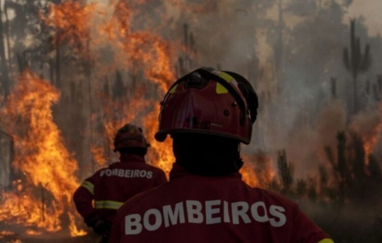 Oito concelhos da região em risco máximo de incêndio