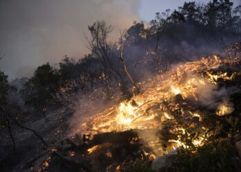 Corpo carbonizado encontrado durante  combate a fogo em Santa Catarina da Serra