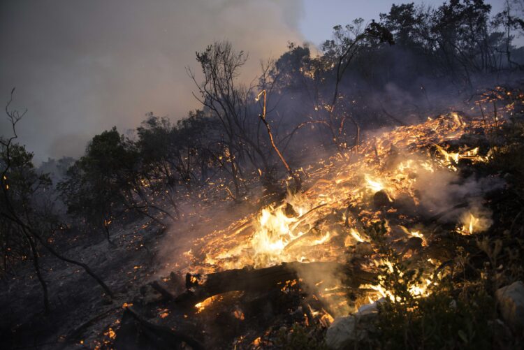 Corpo carbonizado encontrado durante combate a fogo em Santa Catarina da Serra