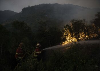 ÚLTIMA HORA: Bombeiro de Leiria faleceu depois de se sentir mal enquanto combatia fogo no Arrabal