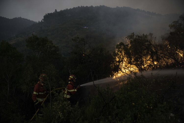ÚLTIMA HORA: Bombeiro de Leiria faleceu depois de se sentir mal enquanto combatia fogo no Arrabal