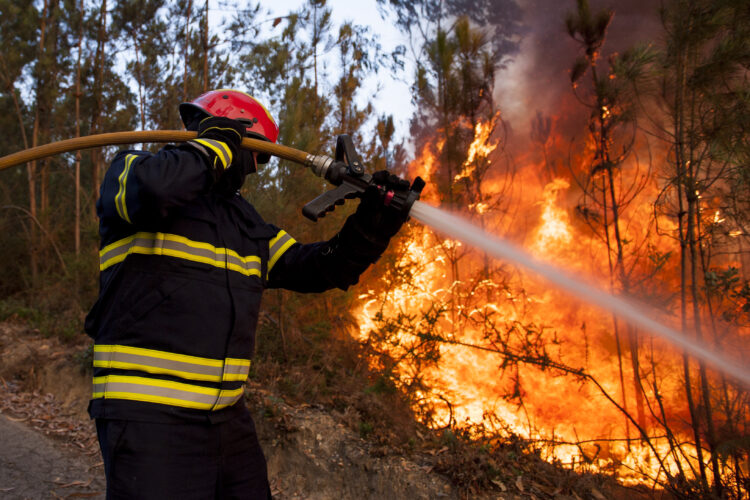 Incêndio na Nazaré mobiliza três meios aéreos