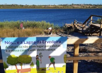 Entre 70 a 80% das árvores plantadas na Mata Nacional morreram