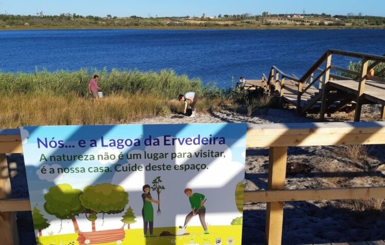 Entre 70 a 80% das árvores plantadas na Mata Nacional morreram