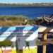 Entre 70 a 80% das árvores plantadas na Mata Nacional morreram
