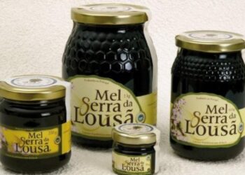 Apicultor de Castanheira de Pera regista quebras de 80% na colheita de mel