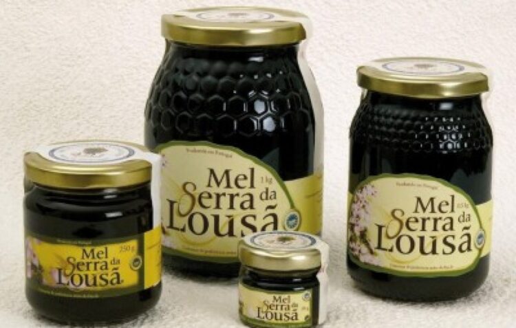 Apicultor de Castanheira de Pera regista quebras de 80% na colheita de mel