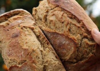 Pão de medronho chega a várias lojas do concelho de Leiria