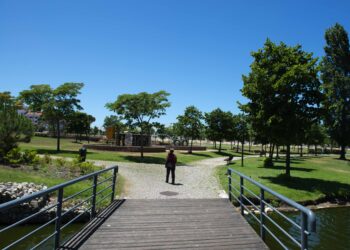 Obras públicas são exemplo de que primeiro se estranha…