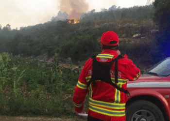 Quatro meios aéreos e 158 bombeiros combate fogo na Caranguejeira