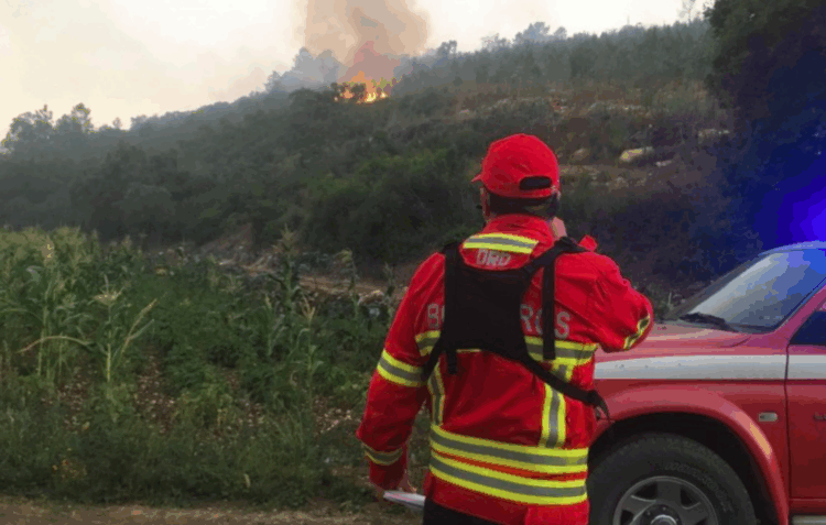 Quatro meios aéreos e 158 bombeiros combate fogo na Caranguejeira