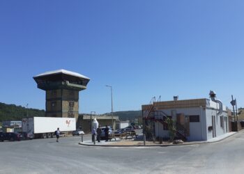 Nazaré e Peniche estão a colaborar na oferta de cerca de oito toneladas de pescado fresco no âmbito dos programas de apoio a famílias carenciadas
