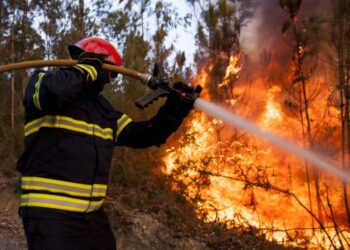 Risco máximo de incêndio em Castanheira de Pera, Pedrógão Grande, Figueiró dos Vinhos e Alvaiázere