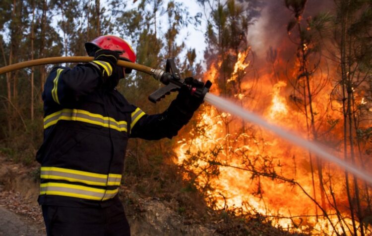 Risco máximo de incêndio em Castanheira de Pera, Pedrógão Grande, Figueiró dos Vinhos e Alvaiázere