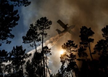 Incêndio no concelho de Ourém combatido por 187 operacionais