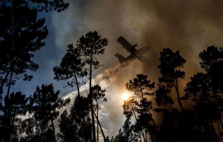 Incêndio no concelho de Ourém combatido por 187 operacionais