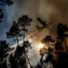 Incêndio no concelho de Ourém combatido por 187 operacionais