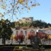Covid-19 “Aquele Querido Mês de Agosto” fez aumentar 275% casos de infecção em Leiria