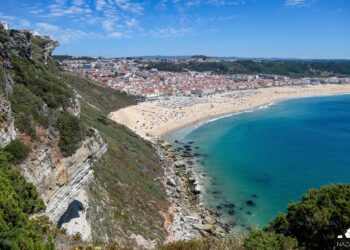Monitorização regular revela qualidade de excelência da Praia da Nazaré