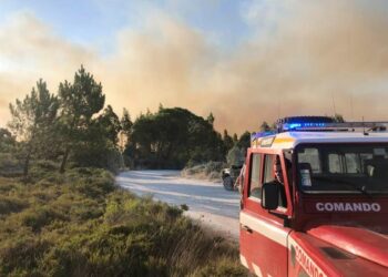 Bombeiros combatem incêndio no Parque Natural, que deflagrou por volta das 3 da manhã