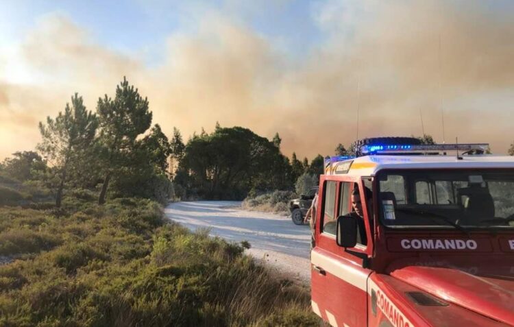 Bombeiros combatem incêndio no Parque Natural, que deflagrou por volta das 3 da manhã