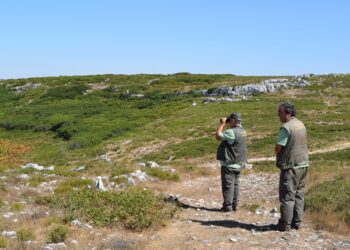 Os guardiões da natureza e “paus para toda a obra” do Parque Natural