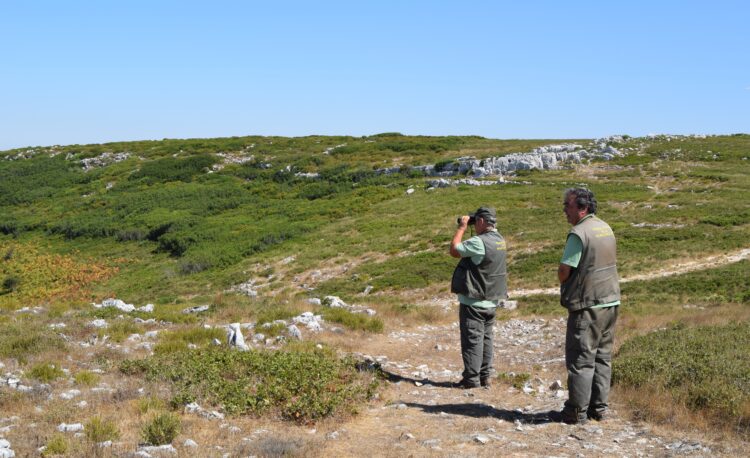 Os guardiões da natureza e “paus para toda a obra” do Parque Natural