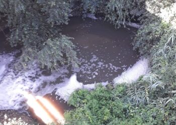 GNR de Leiria identifica autor de descarga na ribeira dos Milagres