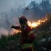PJ detém suspeito do crime de incêndio em Pombal. É um reformado