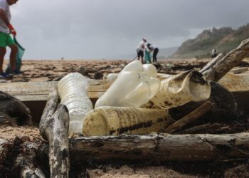 Exposição promove consciencialização das alterações climáticas nos bens e serviços do oceano