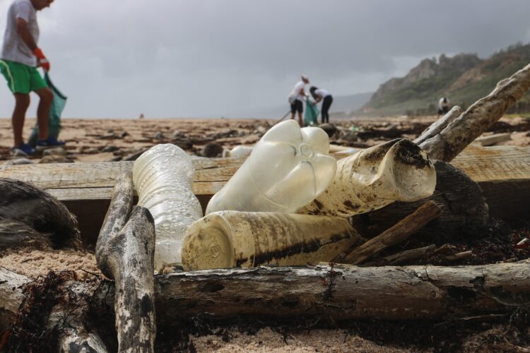Exposição promove consciencialização das alterações climáticas nos bens e serviços do oceano
