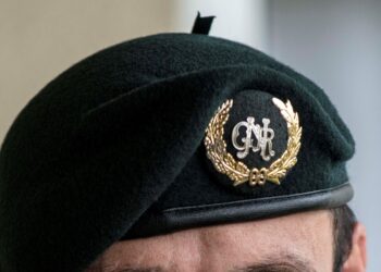 GNR alerta para sementes que chegam pelo correio