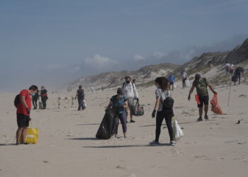 Voluntários recolheram lixo na Praia do Samouco, na Marinha Grande
