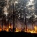 Incêndios: Governo declara situação de alerta para Leiria e outros 13 distritos
