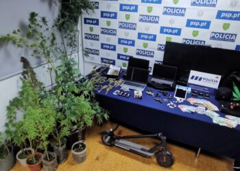 PSP de Leiria detém três pessoas  em operação de combate ao tráfico de droga