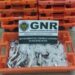 GNR deita a mão a 355 quilos de pescada abaixo do tamanho legal