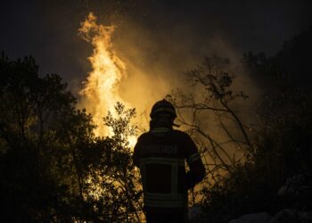 Fogo no Parque Natural das Serras de Aire e Candeeiros lavra há 34 horas