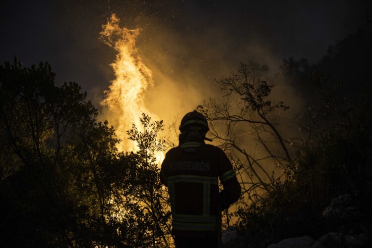Fogo no Parque Natural das Serras de Aire e Candeeiros lavra há 34 horas